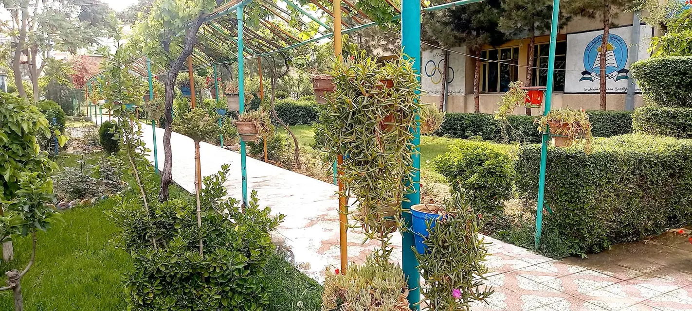 A garden in the school grounds