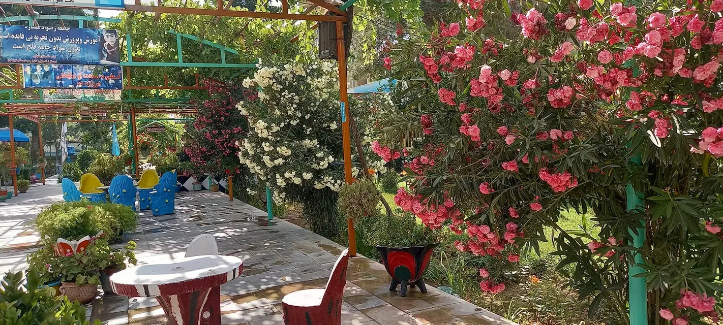 A garden in the school grounds