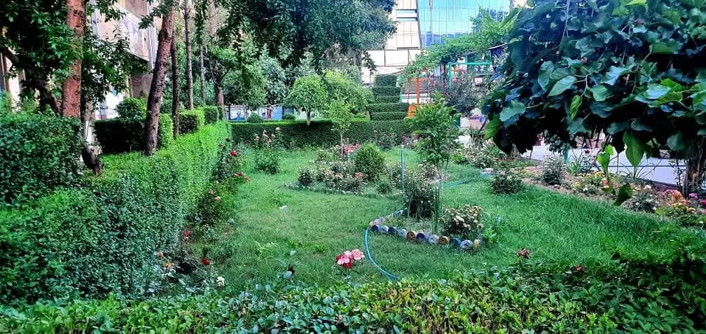 A garden in the school grounds