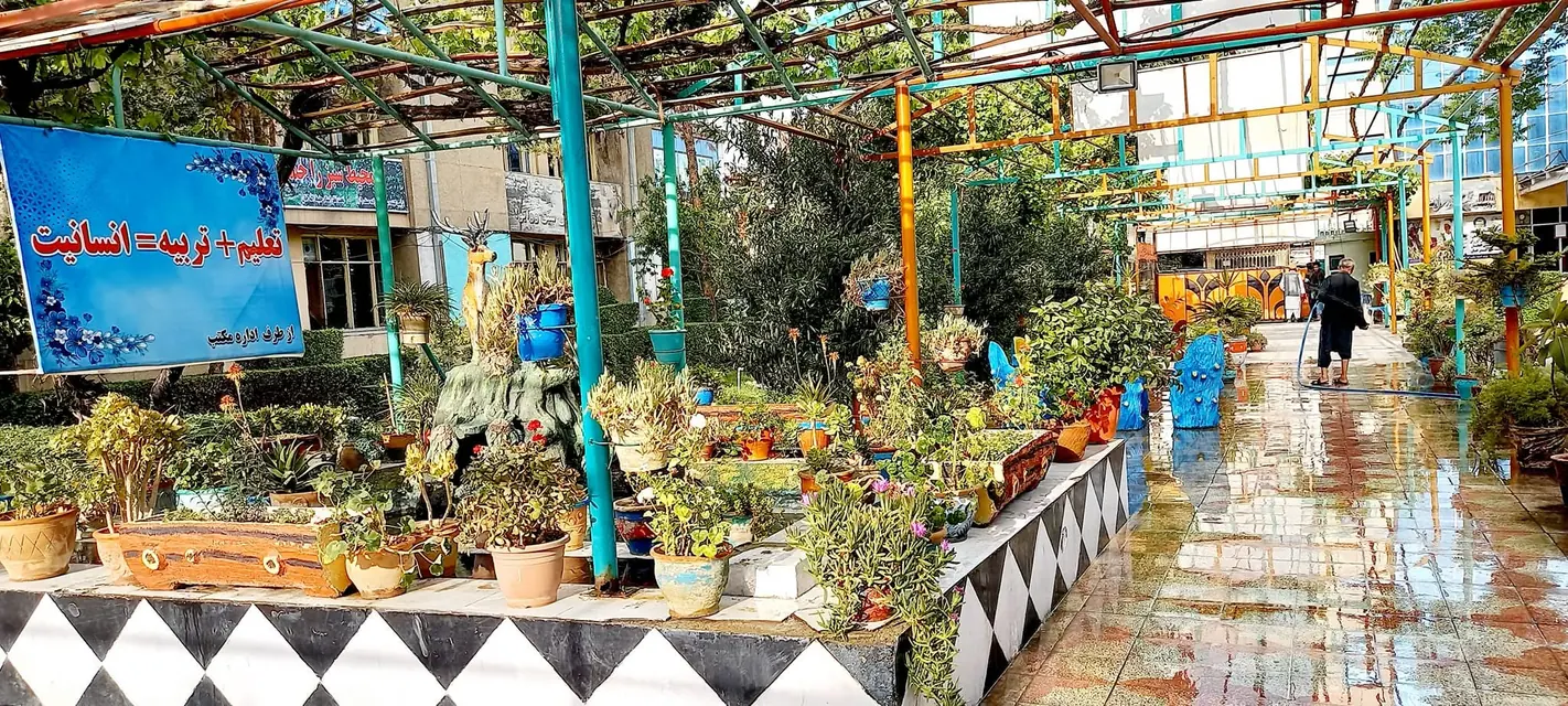 The planted courtyard under a green and orange pergola