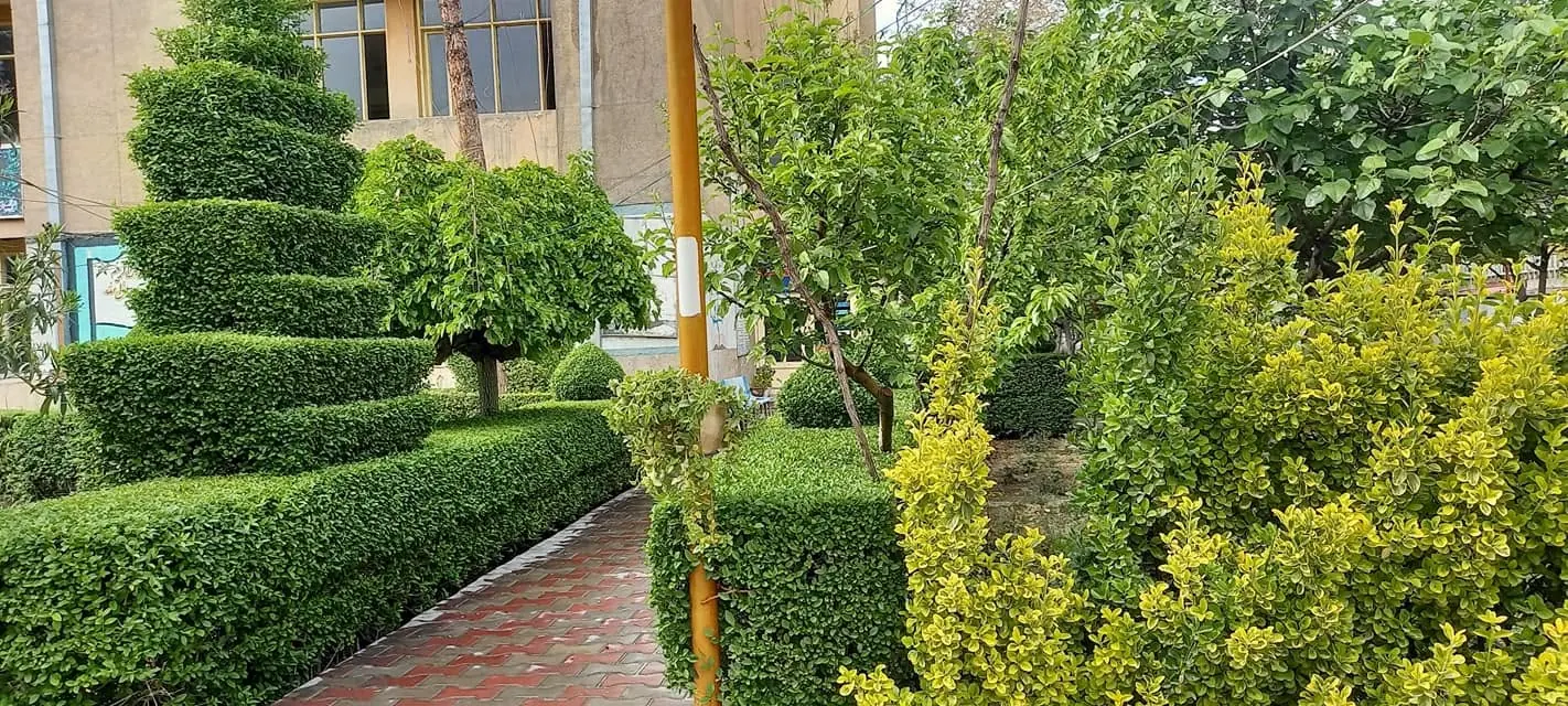 A garden in the school grounds