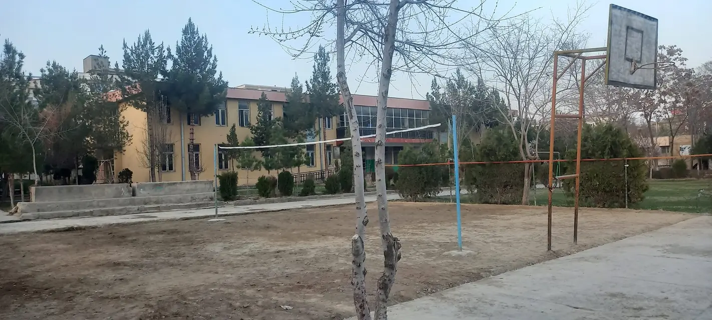 The school grounds and buildings