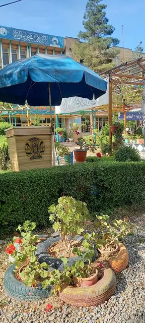 The planted courtyard under a green and orange pergola