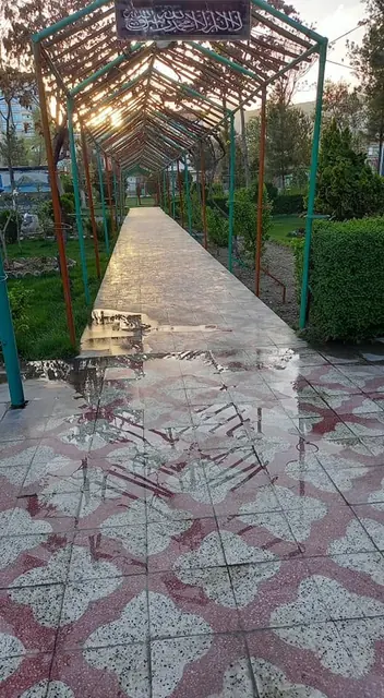 A paved walkway through the school grounds
