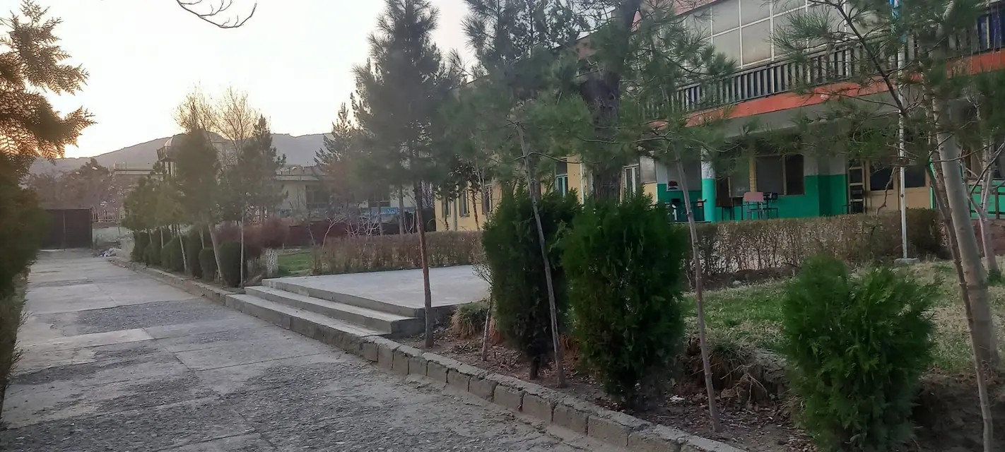 The school grounds and buildings