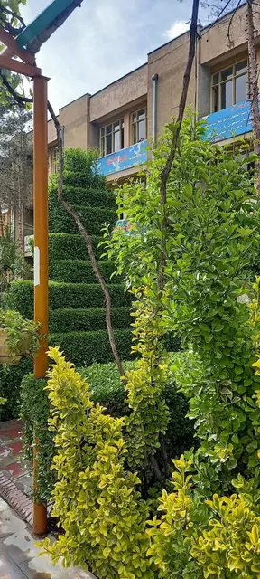 A garden in the school grounds